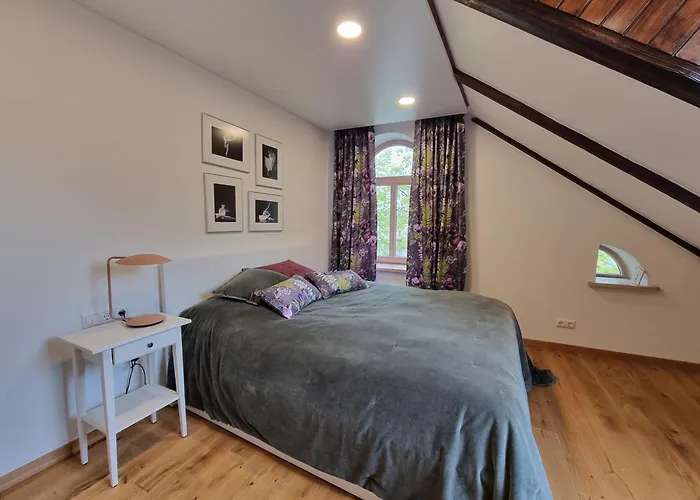 Teatro Apartamentai 公寓 克莱佩达