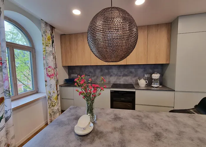 公寓 Teatro Apartamentai 克莱佩达